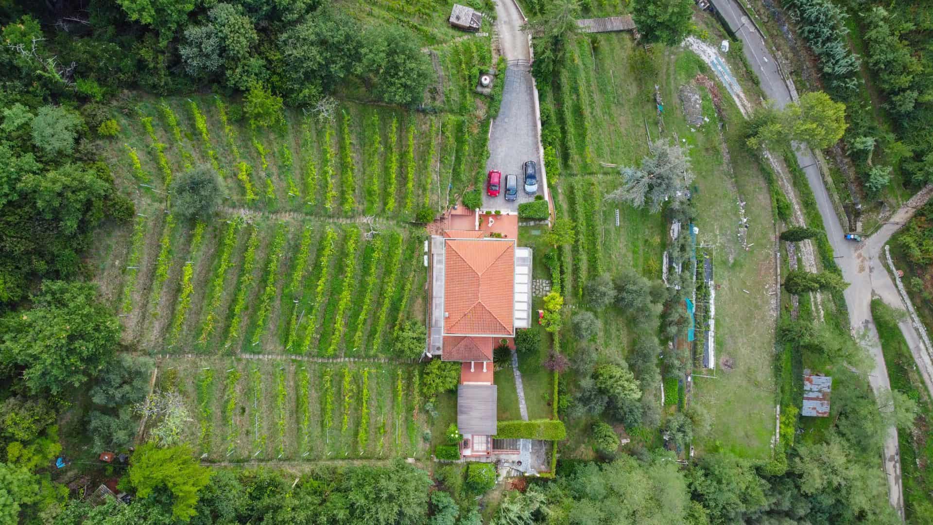 Villa in Toscana Image 32