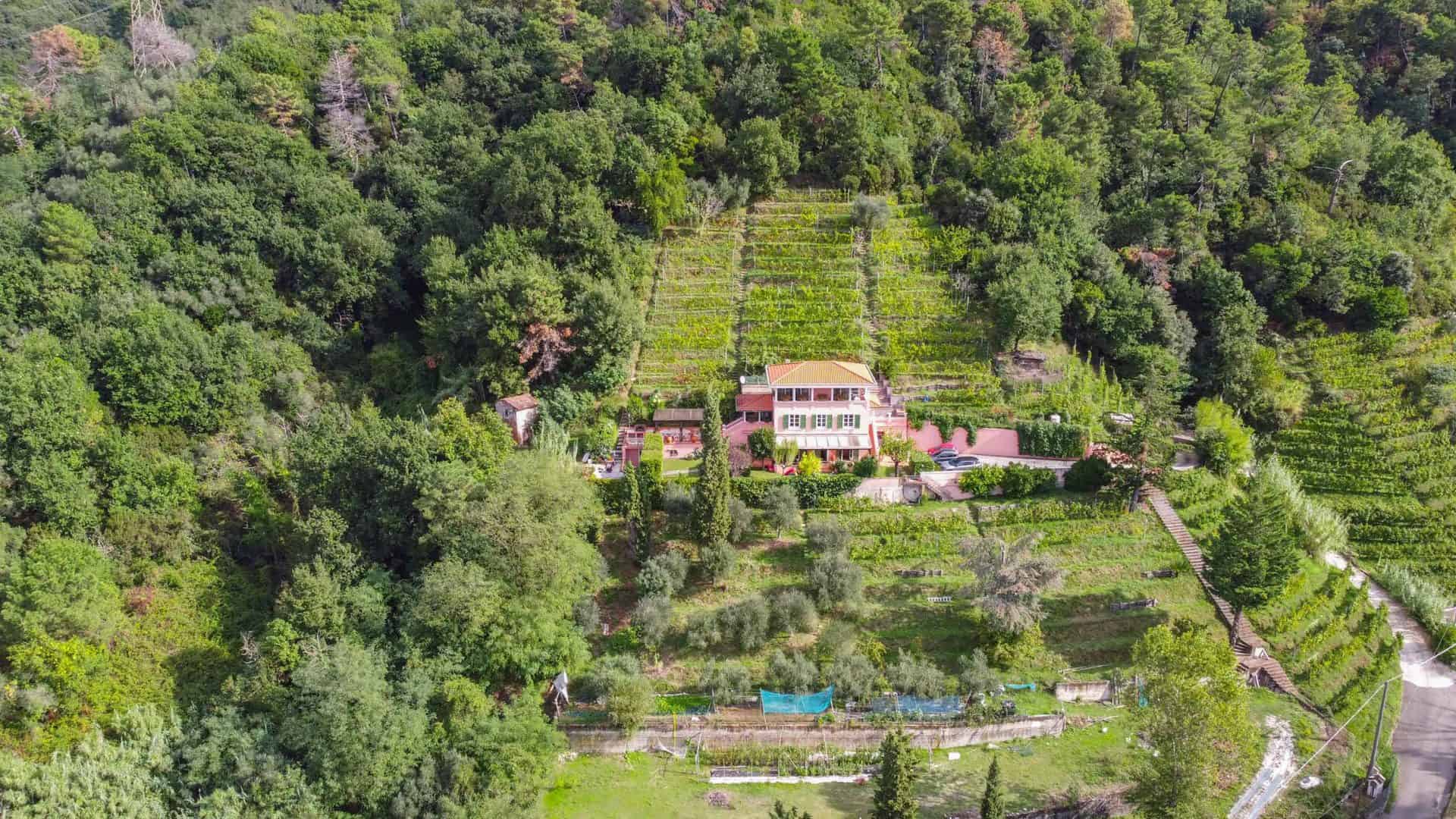 Villa in Toscana Image 31