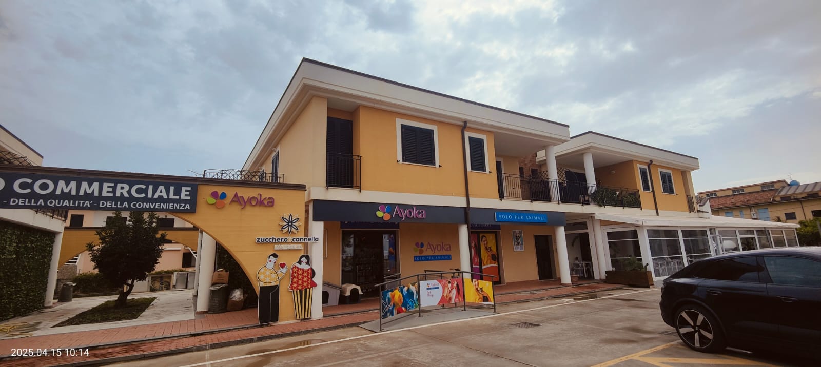 250 Ascea