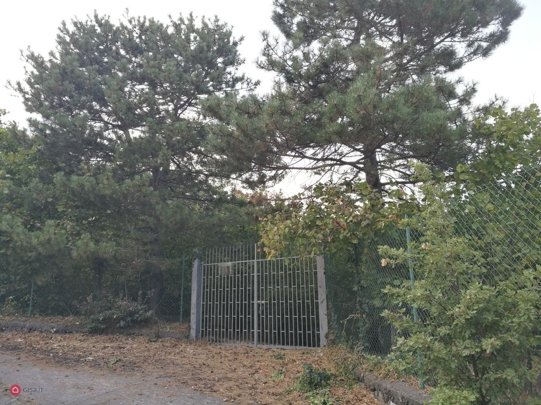 Fabbricato rurale con terreno agricolo
