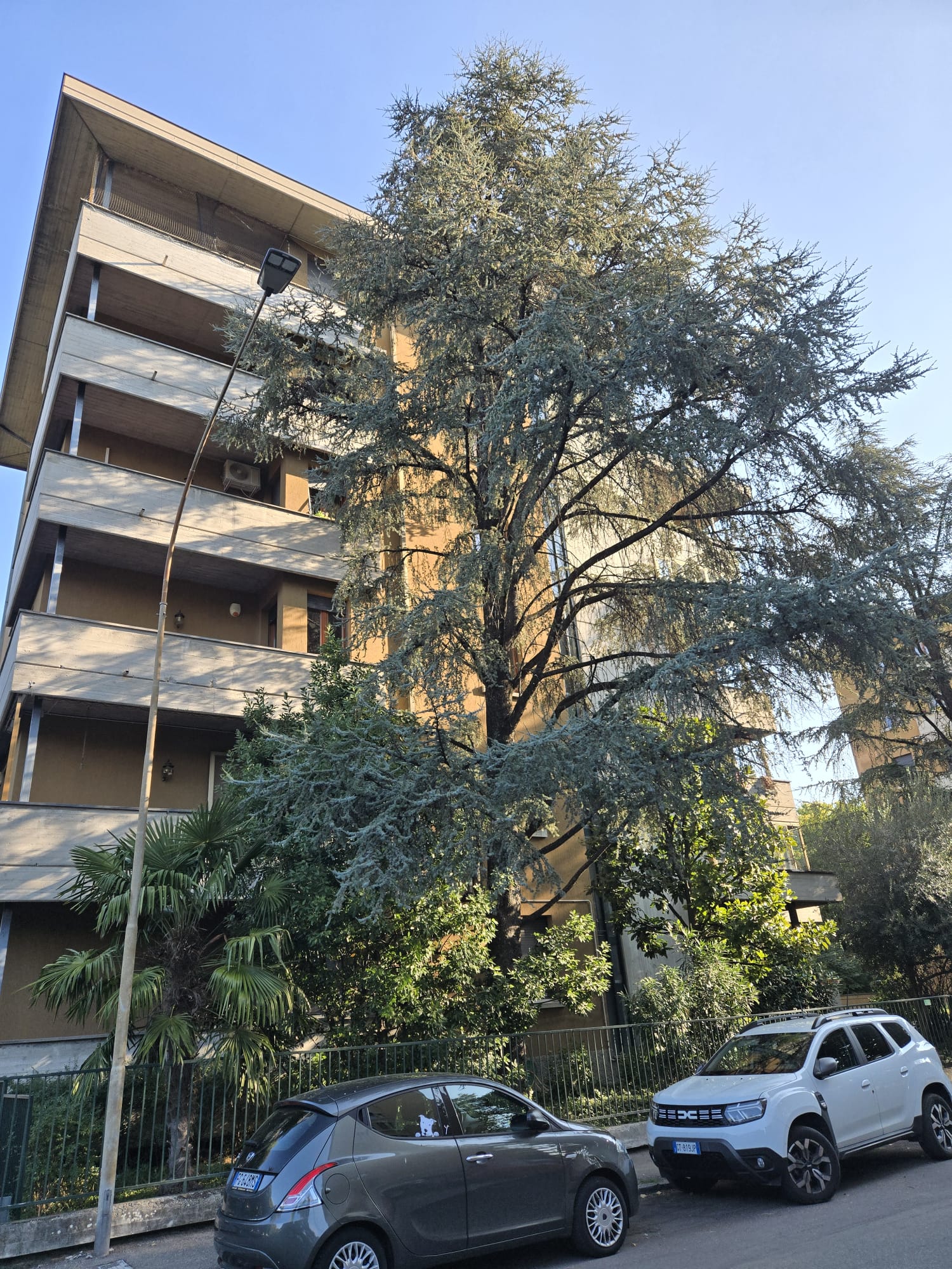Vendesi Quadrilocale Ristrutturato a San Lazzaro, Parma