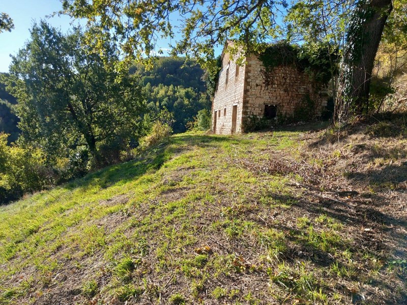 Occasione Arcevia (AN): Casa 4 Locali 75mq in Frazione Prosano a €30.000.