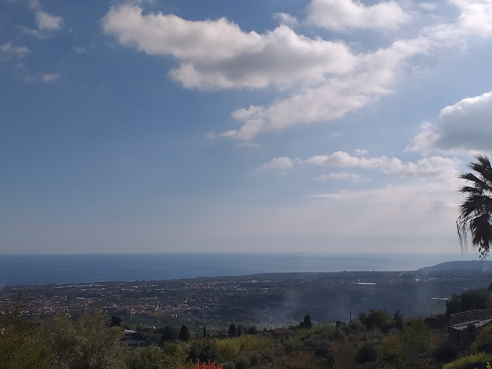 Terreno 30000 m con antico palmento