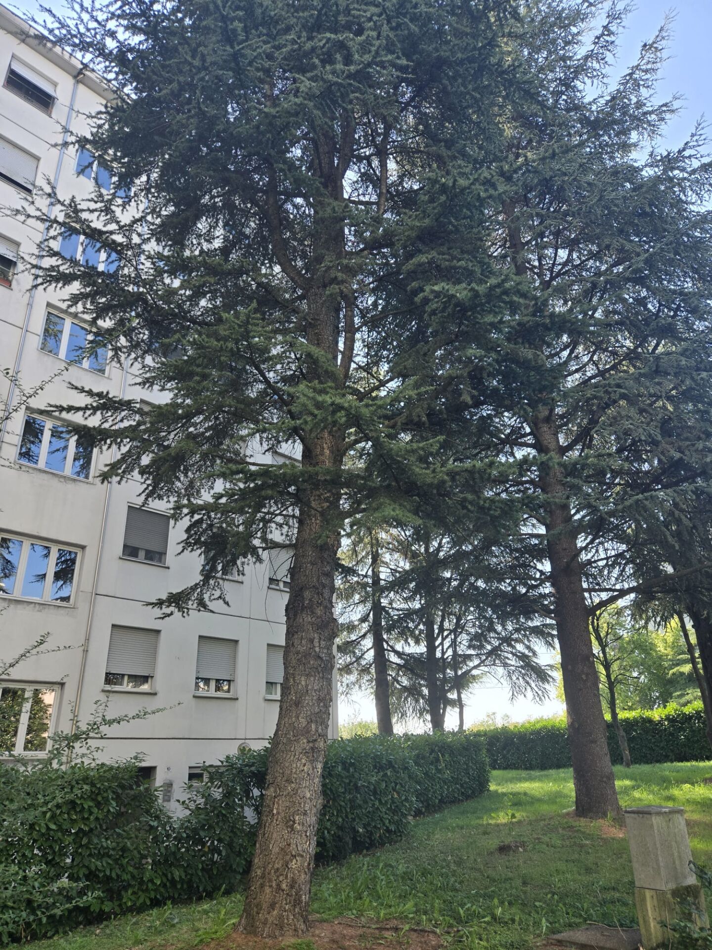TRILOCALE IN OTTIMO STATO – ZONA CAMPUS (MONTANARA – PR)