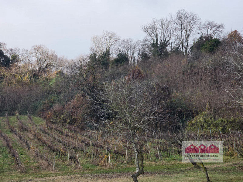 Terreno in vendita di 25496 mq a Vicenza Image 6