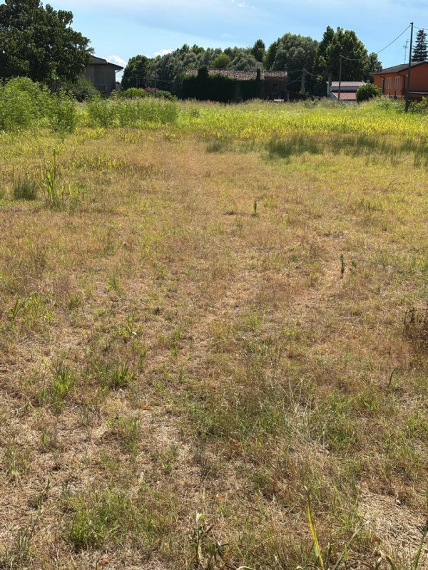 Rustico in vendita di 3991 mq a Masi Image 2