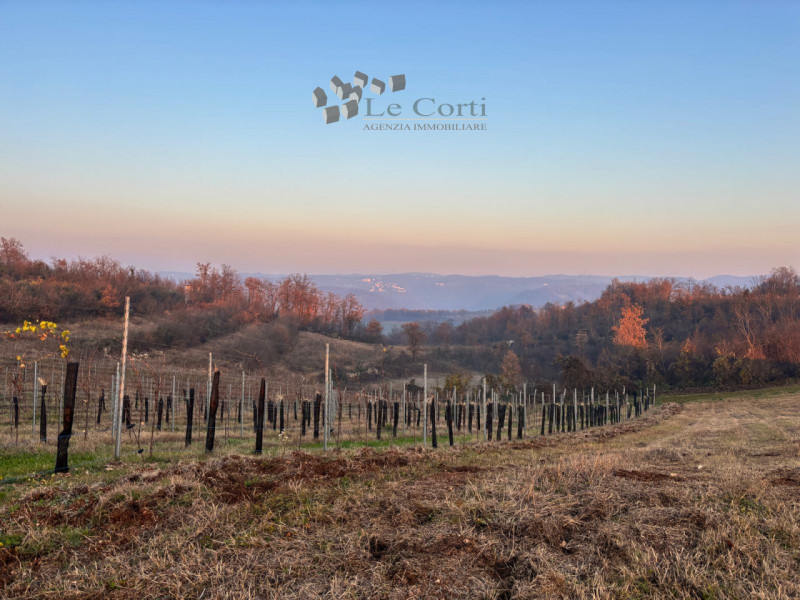 Terreno in vendita di 25155 mq a San Germano dei Berici Image 6