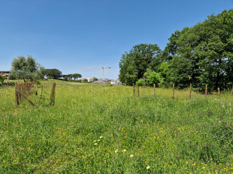 Terreno in vendita di 8000 mq a Roma Image 8