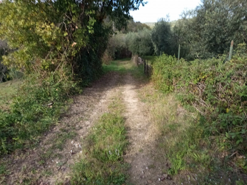 Rustico in vendita di 4600 mq a Mentana Image 6