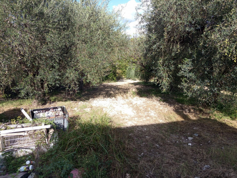 Rustico in vendita di 4600 mq a Mentana Image 4