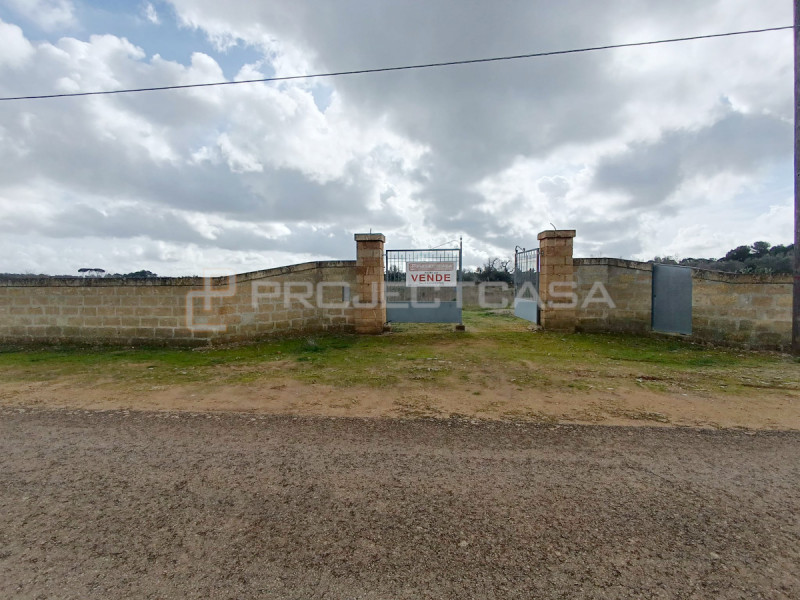 Terreno in vendita di 7400 mq a Scorrano Image 7