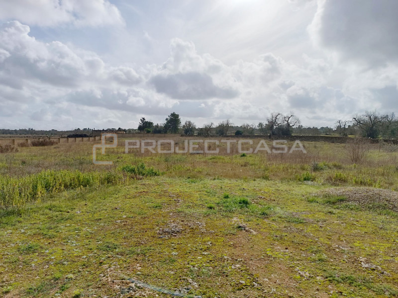 Terreno in vendita di 7400 mq a Scorrano Image 6