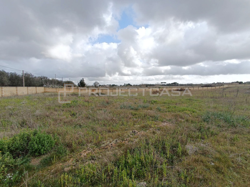 Terreno in vendita di 7400 mq a Scorrano Image 3