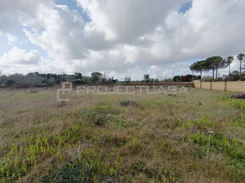 Terreno in vendita di 7400 mq a Scorrano Image 8