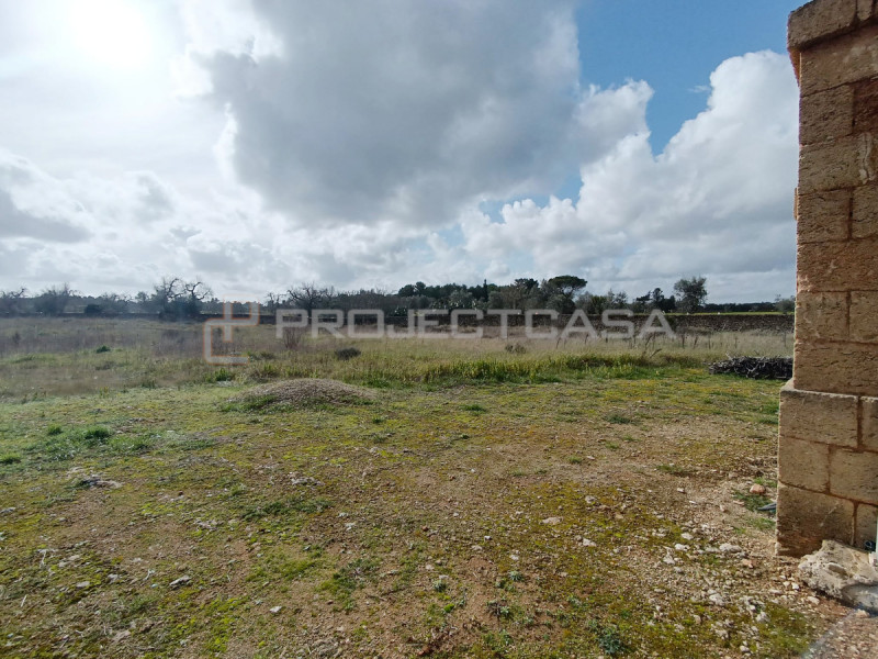 Terreno in vendita di 7400 mq a Scorrano Image 4