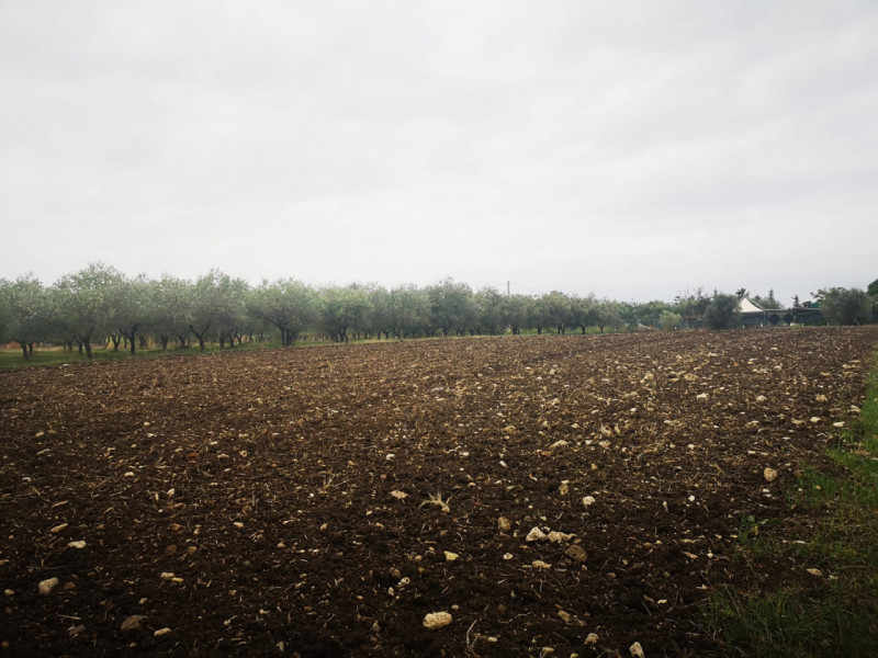 Terreno in vendita di 6500 mq a Eboli Image 3