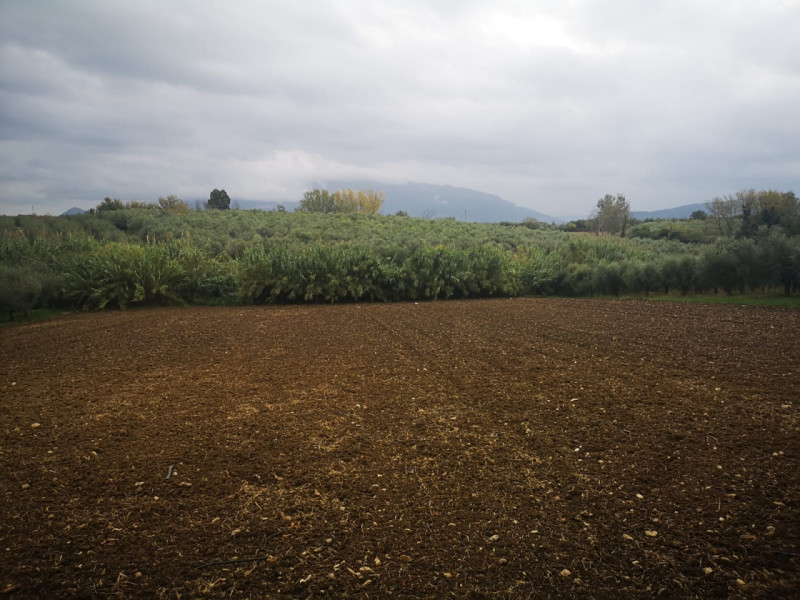 Terreno in vendita di 6500 mq a Eboli Image 2