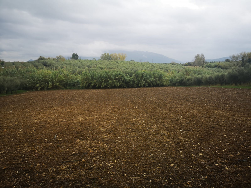 Terreno in vendita di 6500 mq a Eboli Thumbnail