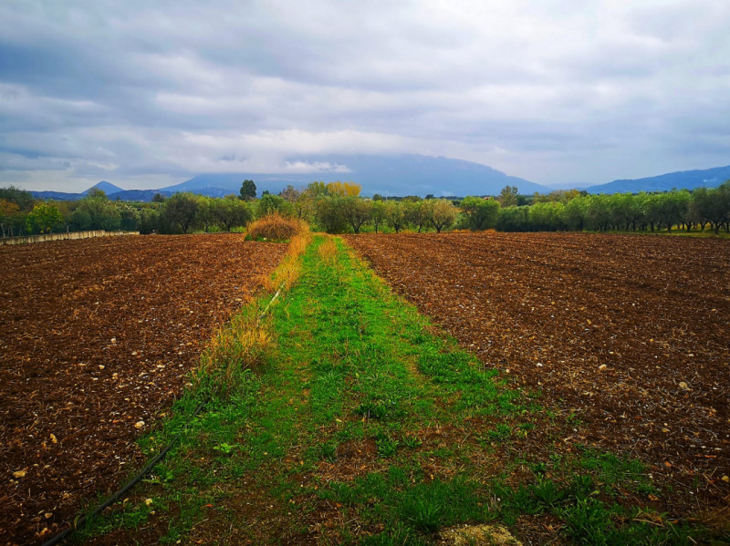 Terreno in vendita di 6500 mq a Eboli Image 5