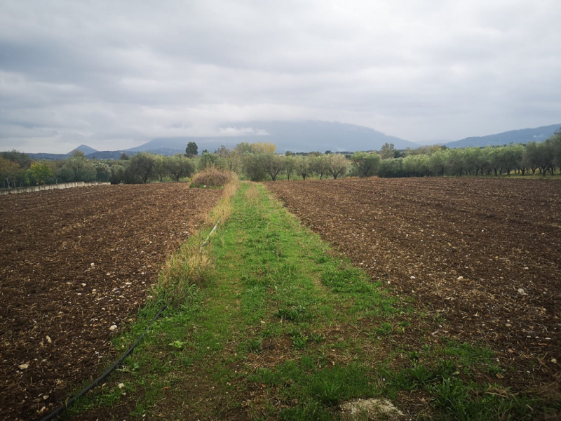 Terreno in vendita di 6500 mq a Eboli Image 6