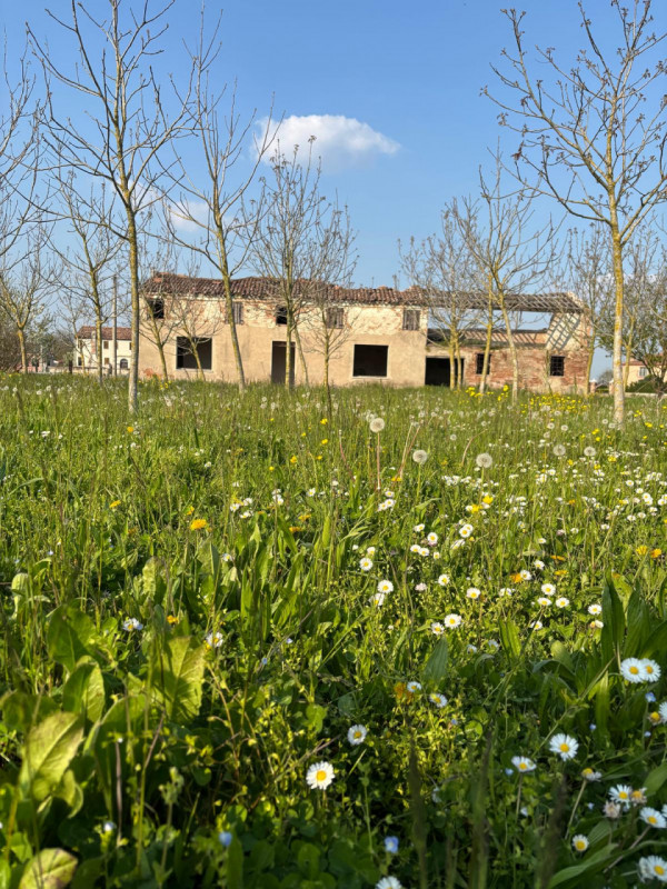 Rustico in vendita di 240 mq Image 3