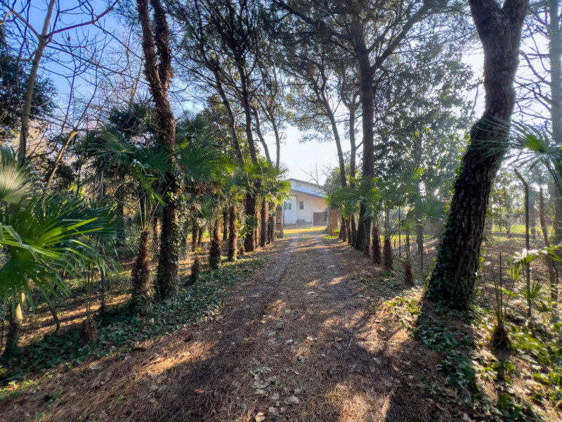 Casa singola in vendita di 430 mq Image 4