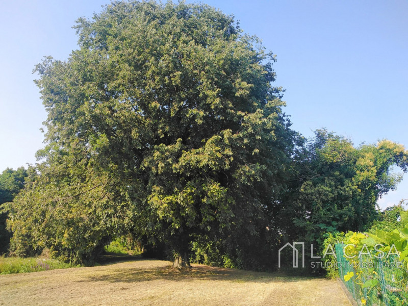 Terreno in vendita di 2000 mq Image 4