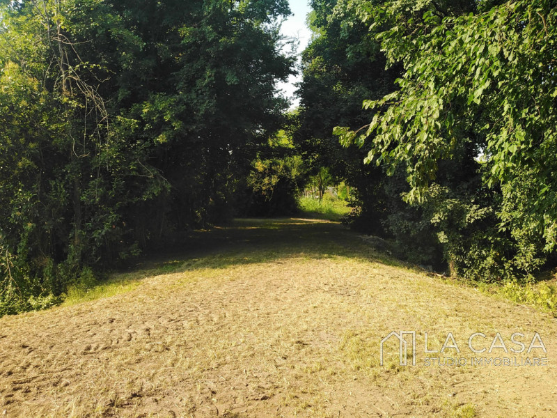 Terreno in vendita di 2000 mq Image 6