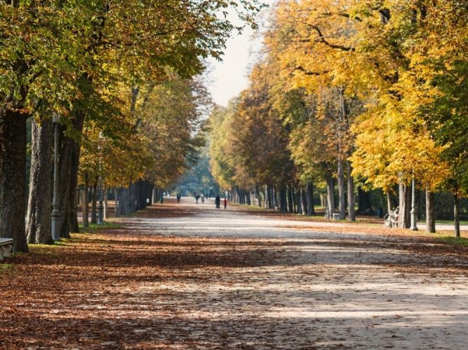 Parco Ducale Parma